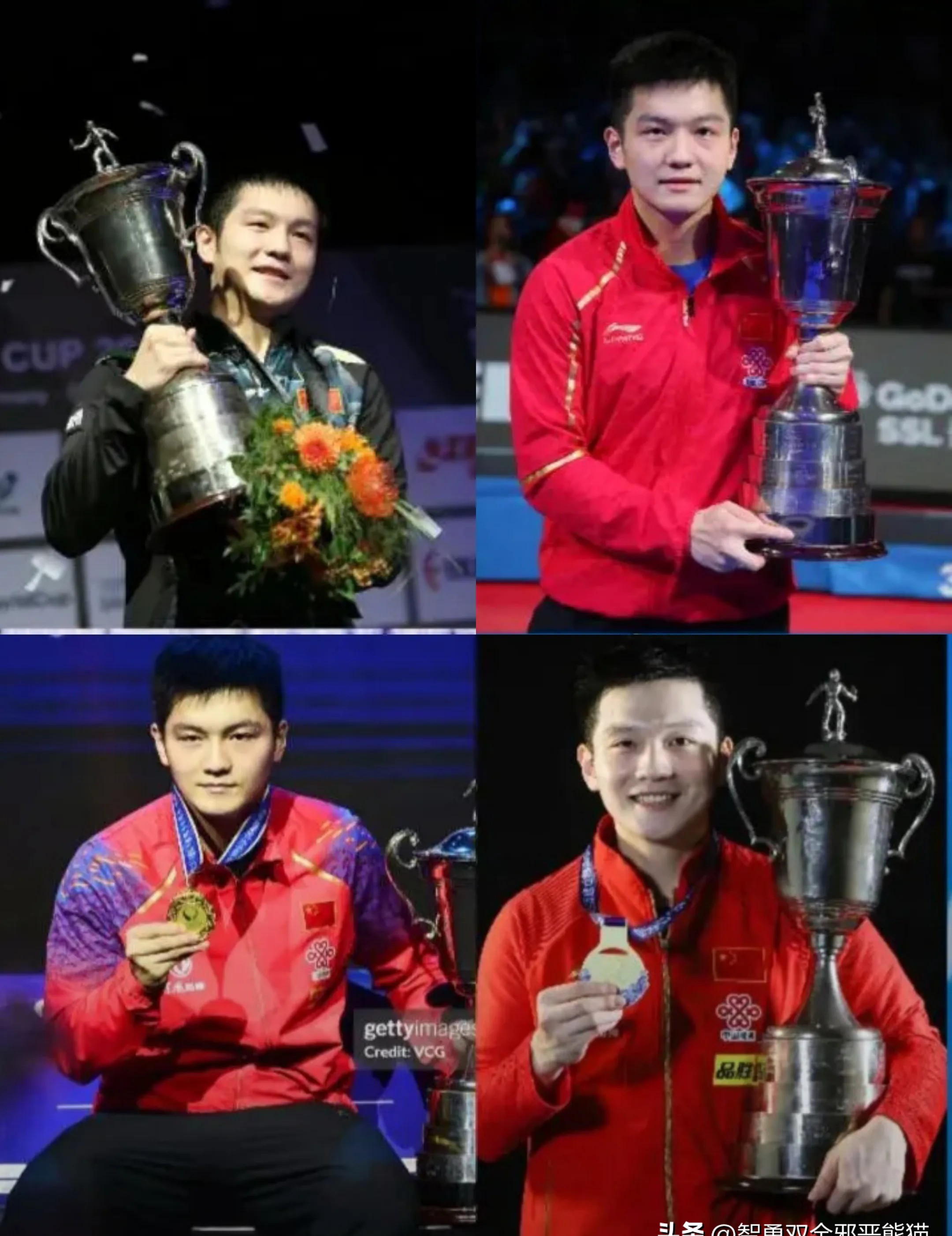 关于日本乒乓球队强势波兰乒乓球队，樊振东制霸全场的信息