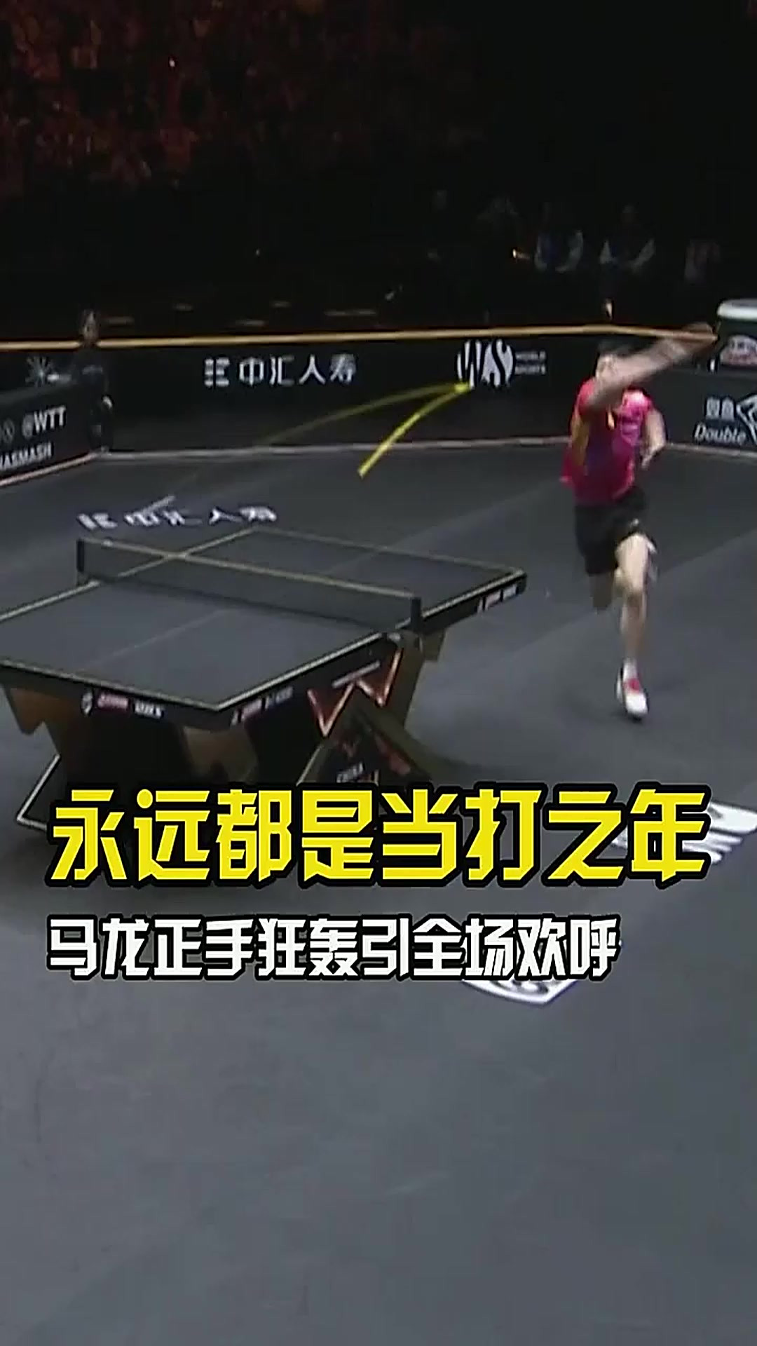 关于中国乒乓球队血洗比利时乒乓球队，马龙制霸全场的信息