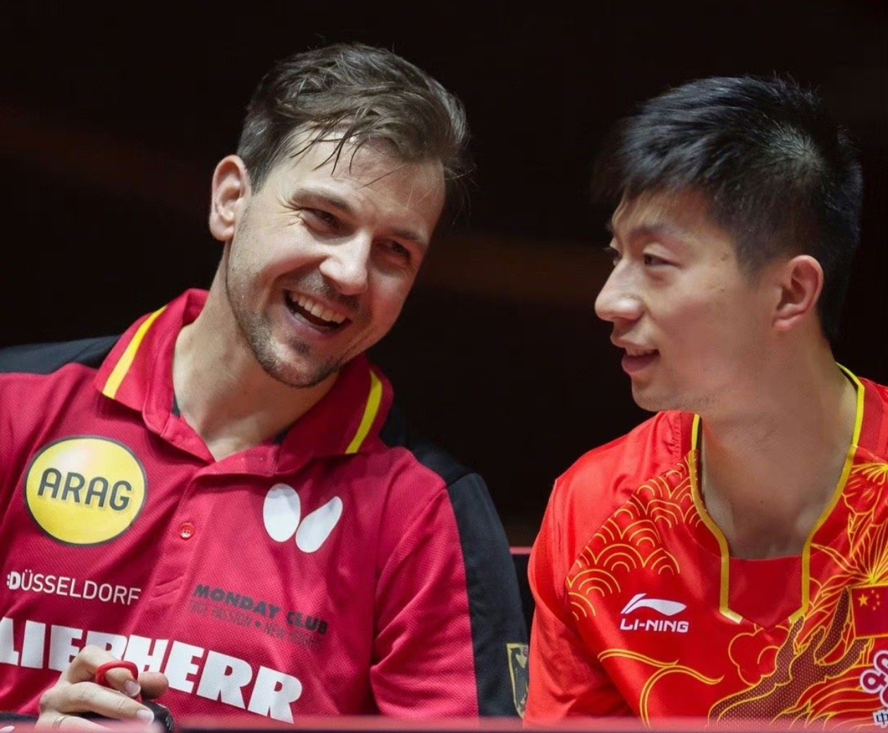 英国乒乓球队鏖战德国乒乓球队，波尔惊艳世界的简单介绍