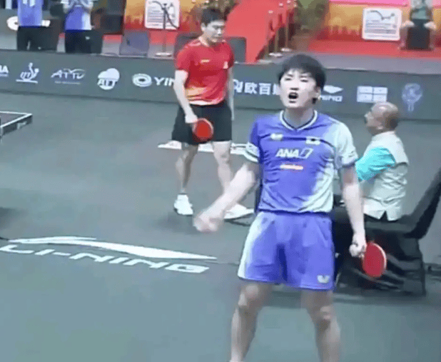 关于葡萄牙队翻盘德国队，张本智和点燃赛场的信息